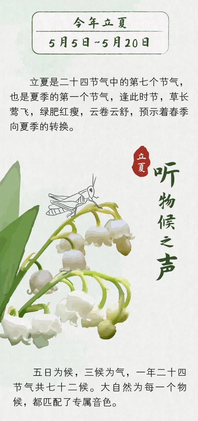 立夏：听，是谁叫醒了夏天