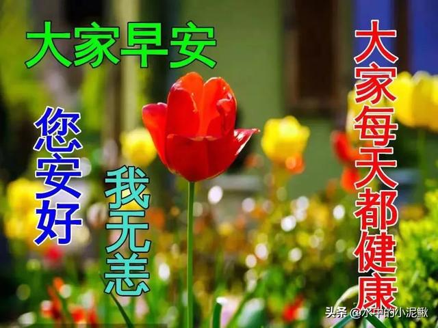 正能量的早安句子致自己 送给自己的早安心语经典