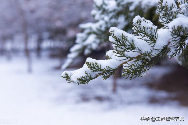 冬至“养心”最当时，三招教你预防心源性猝死