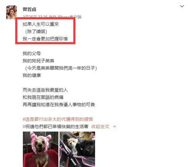 林瑞阳夫妇被调查后，他前妻的儿子林宇开始了新闻报道:最幸福的一年。
(图14)