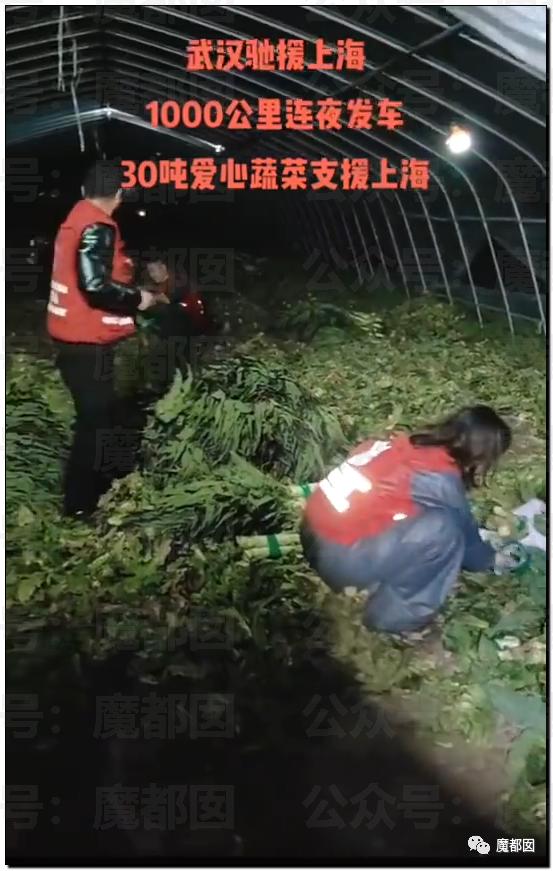 愤怒！众多城市支援上海竟然毫无热度？我们上海人不答应