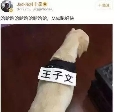 王子文：游离了3个男人后，决定未婚生子，35岁带儿子潇洒生活