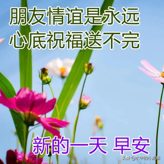 朋友圈很励志的正能量说说，阳光向上的经典句子