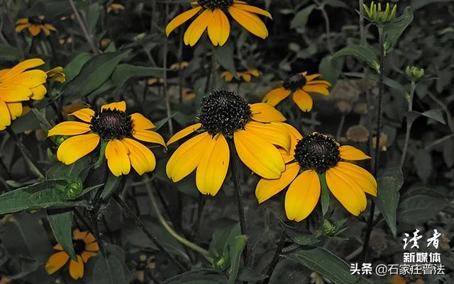 广州83岁母亲毒死亲生儿子，法院的判决让人泪目