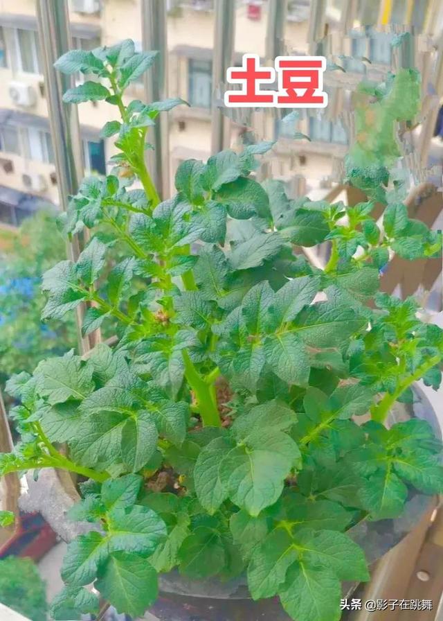 人生有闲情，岁月不荒凉