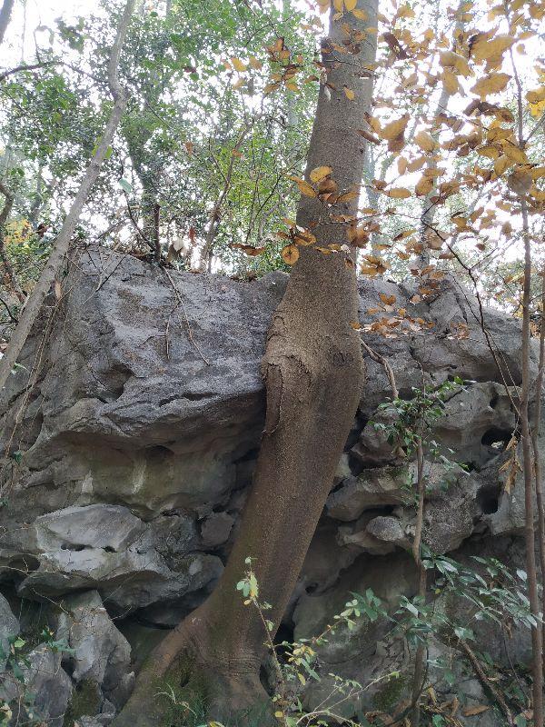 浙江這座178米小山，竟是皇城遺址？大多數人的杭州玩法，有遺憾