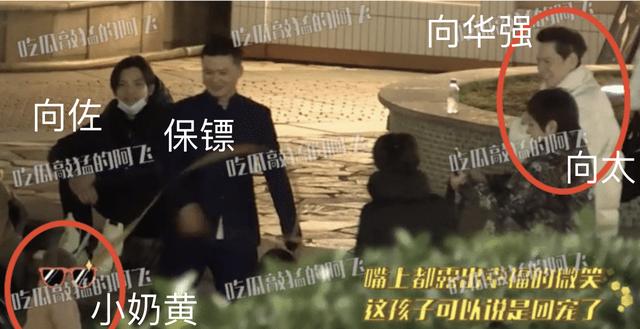 向佐郭碧婷一家三口逛商场