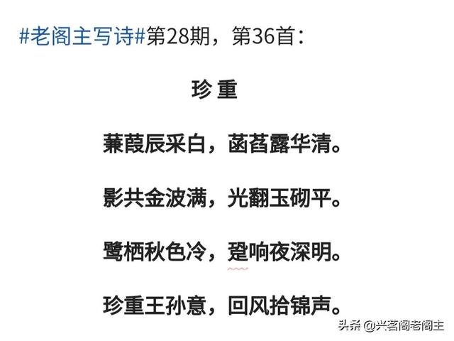 老阁主写诗｜第28期：珍重王孙意，回首拾锦声