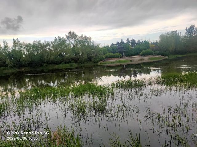 雨后戴河公园