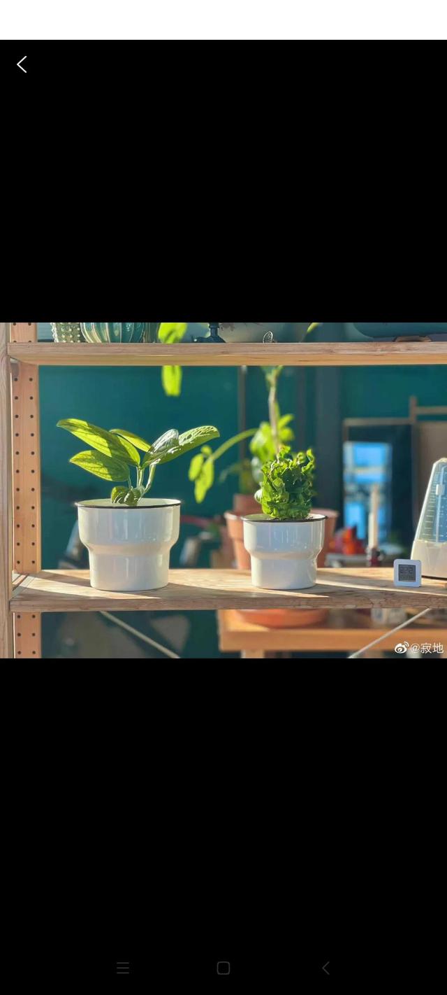 人就是欺软怕硬，不要碍于面子而做出不理智的决定