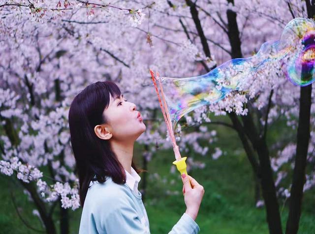 貴州被外媒評爲藍色星球最美櫻花園的景區，不出國門一樣精彩