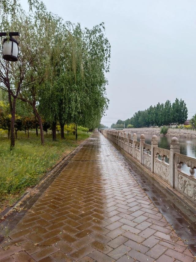 散文：雨送春归去