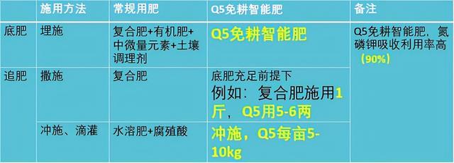 高开高走！玉米价格突然每吨再涨70元！今年玉米能涨到2块吗？