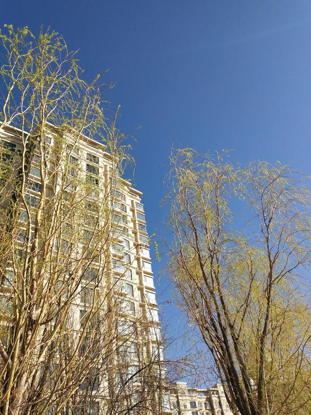 生活的智者