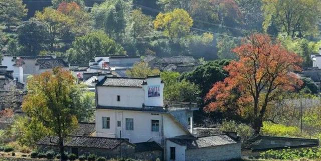 安徽老农长相酷似"普京",被俄罗斯美女求婚,如今为何变成"光棍汉"