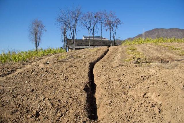 一山一路孤零零一棟老房子，秦嶺鎮安海棠山，山頂還住著一戶人家