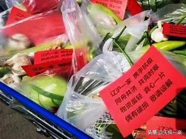 上海未死老人被转运？有人质疑福利院草菅人命，让人后背发凉