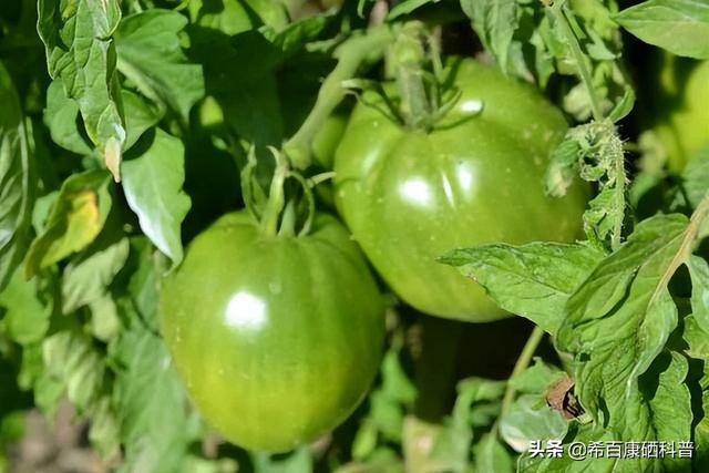 提醒：春天这7种蔬菜或需少吃，很多人还不知道，早知早好