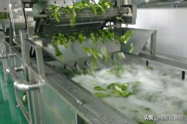 烟灰、脚气，为何会与知名酸菜挂钩？315晚会揭露的黑幕触目惊心