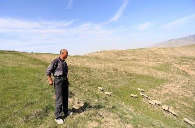 原油涨跌定价中国菜籽油，电商直销改变苹果红枣收购定价体系