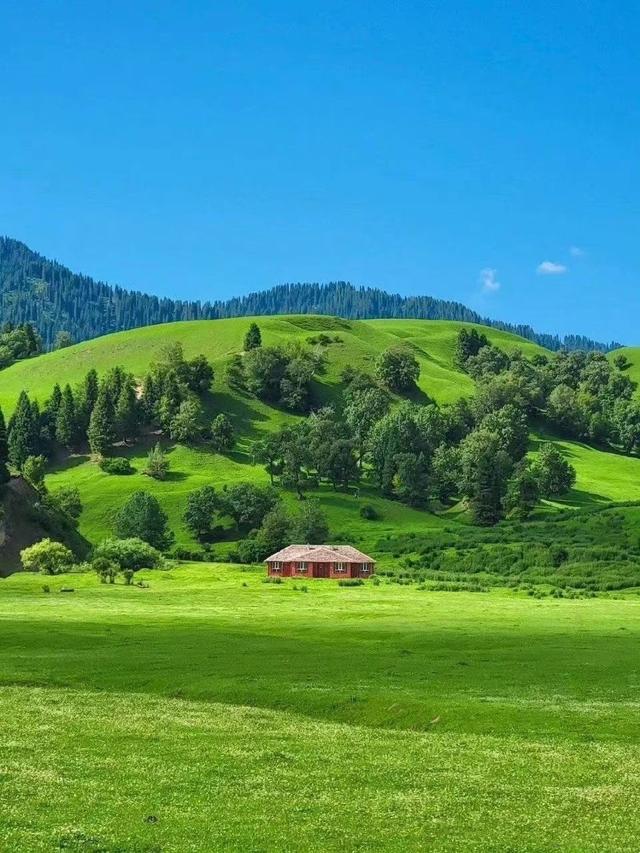 [万福云关键词自动回复]，微信打字出现的小动物有哪些