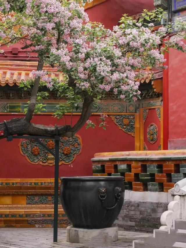千万春花次第开