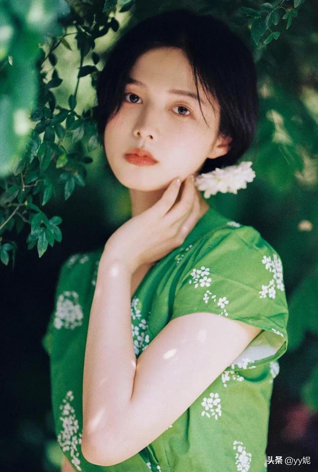 与草木一起走入初夏