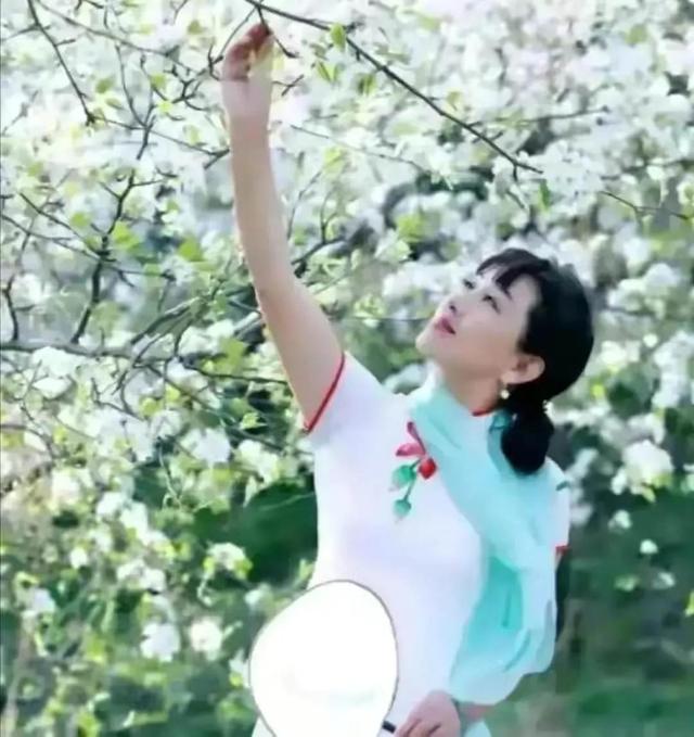 四月蔷薇开，美人更可爱