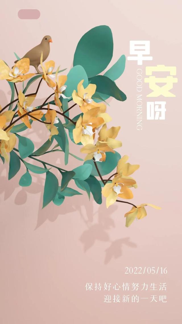 5月16日早安你好 | 朝着阳光出发吧
