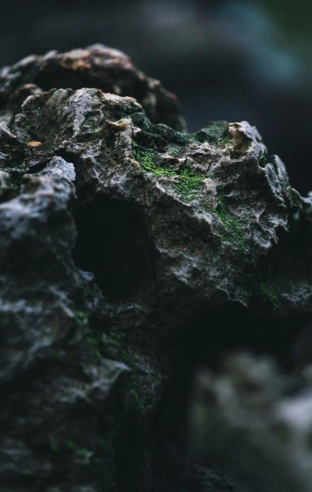 把时间浪费在美好的事物上