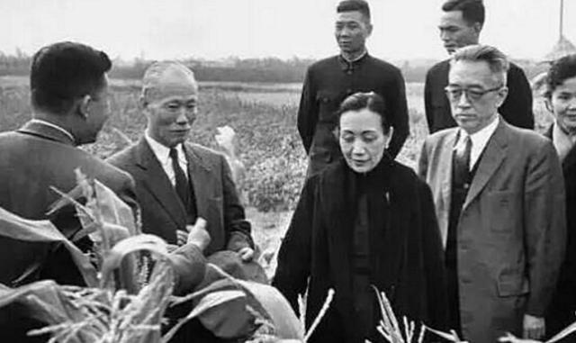 65年陈诚病逝，临终遗言引起争议，蒋介石沉默片刻：按原件发表吧