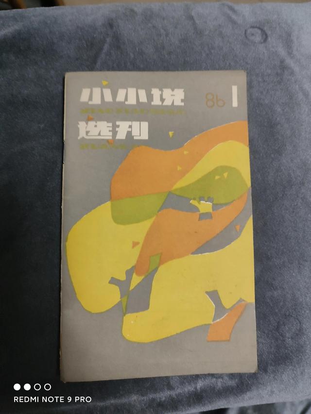 一厚摞子«小小说选刊» 我挑两期 有汪曾祺航鹰刘国芳的大作