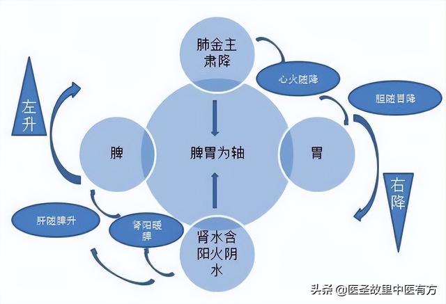 畏寒肢冷全身痛？名方附子汤，驱云散雾升朝阳，祛湿散寒止百痛