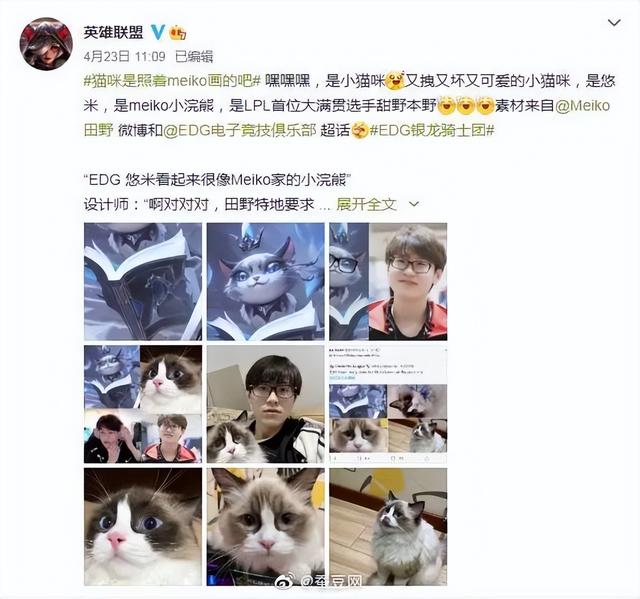 EDG冠军皮肤高清原画公布，猫咪表情来源于Meiko本人？