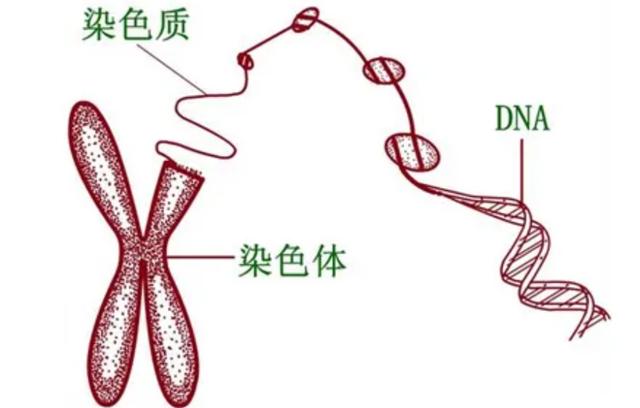 https://www.meipian.cn/56hrd4r4