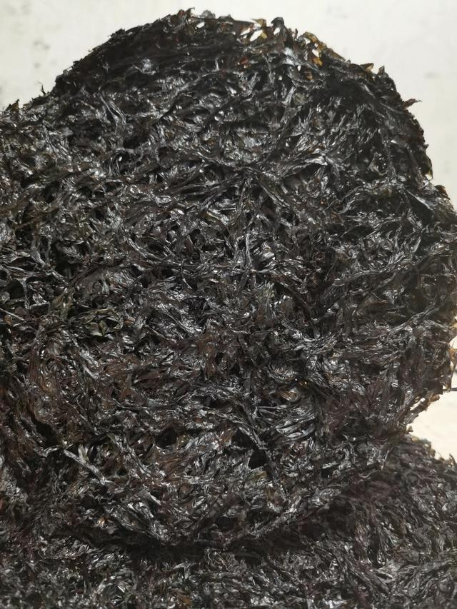 健康宝库——美味的紫菜