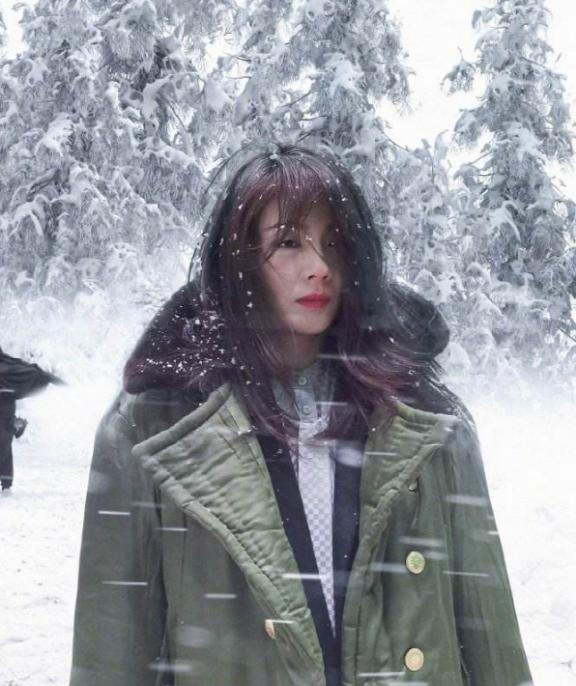 同样是中年女演员，刘涛女一号演到审美疲劳，韩雪成了“综艺咖”