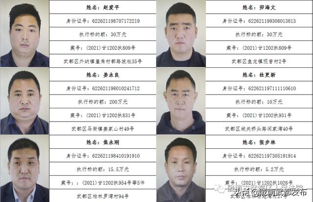 曝光! 武都区法院公布2022年第一批失信被执行人名单（172人）
