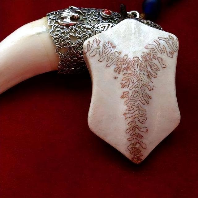 穿山甲鳞片佩戴忌讳(动物骨头类的文玩有哪些)