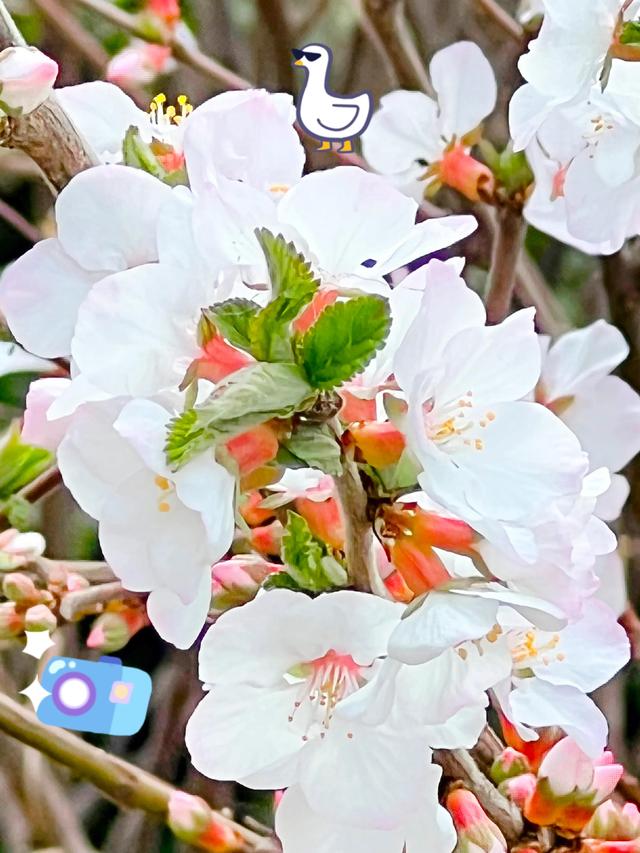 人生由人不由天，幸福由心不由境，美好的幸福就在人的心里