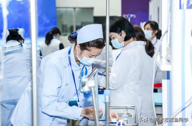 医学专业好就业的专业排名