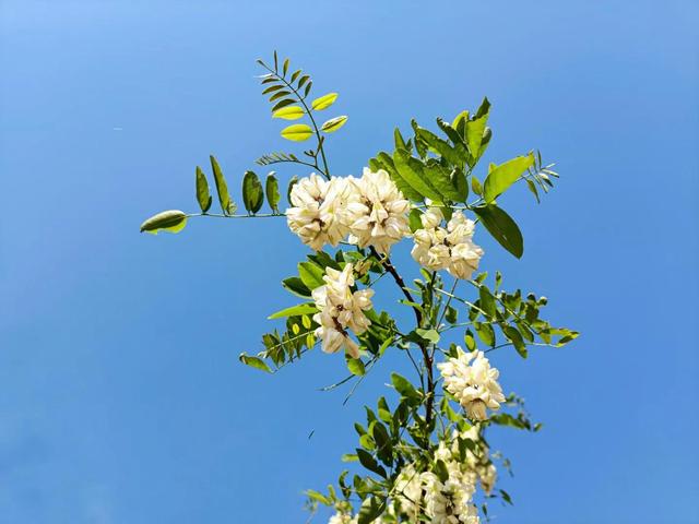 为什么有的人觉得写作太难
