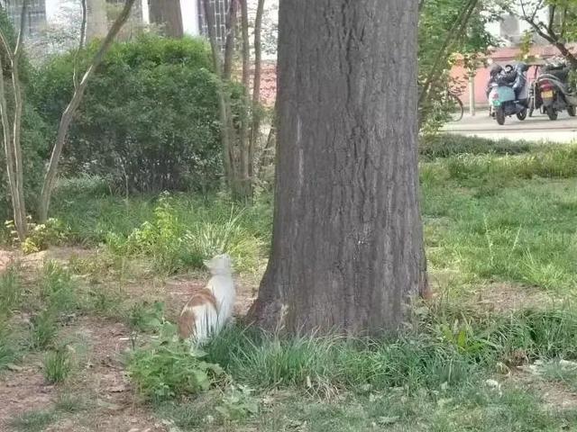 优微推荐丨我想做这样的人