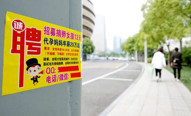 当女性想生孩子但不想结婚 | 两会热议