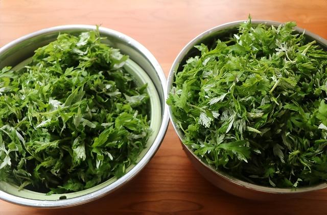 清明前后，家中要多做这3种野菜，孩子吃不够，补充营养长得快