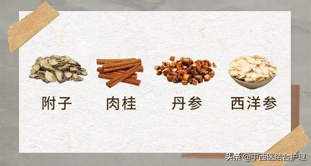 「护肾科普」护肾延衰，重在医和养，功在补虚和堵漏