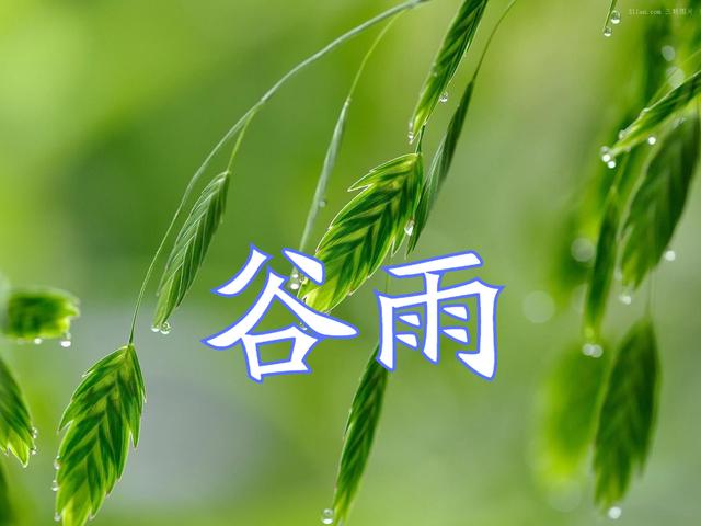 今日谷雨，有哪些事情要注意？看看老祖宗留下的谚语，瞬间明白了