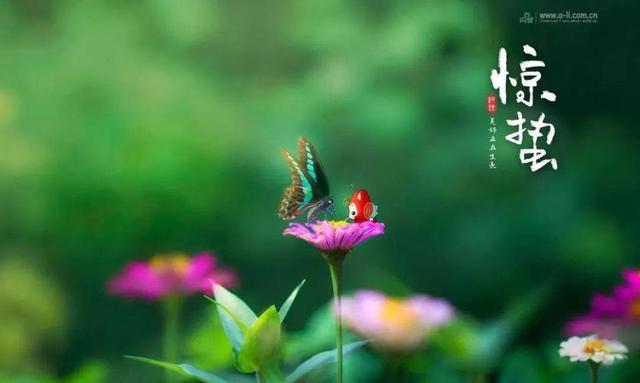 散文：惊蛰，春雷始鸣，淡美人生岁月