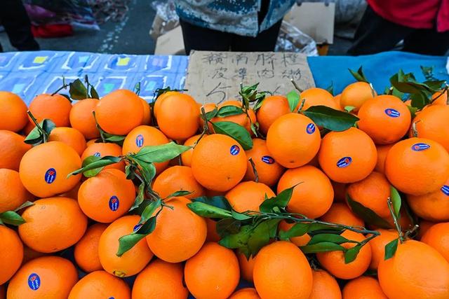 这个早市接地气！水果品种多特便宜，旁边还有特大市场，啥啥都有5