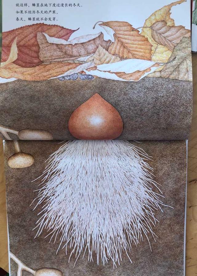 有哪些适合3岁孩子阅读的科普绘本？